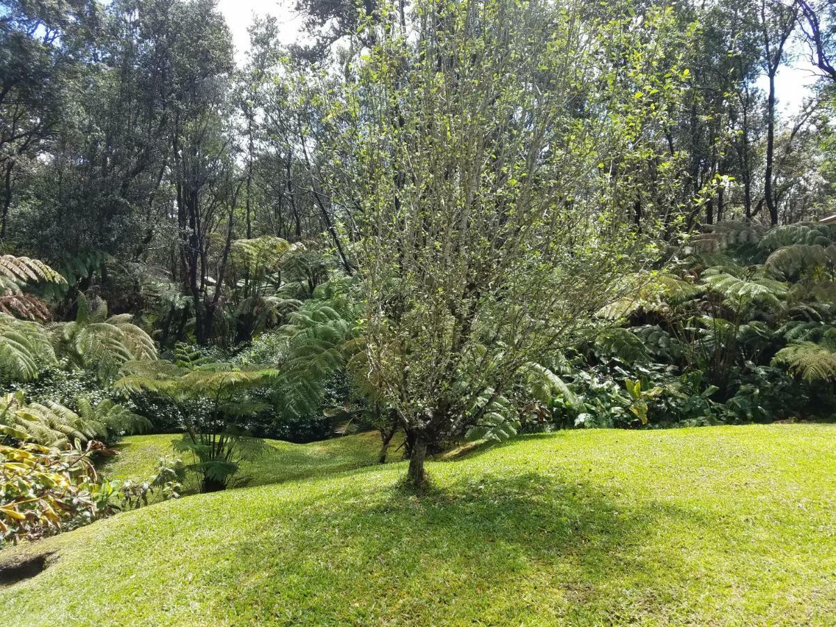 'Ama'u Lani Cottage Volcano Exteriör bild
