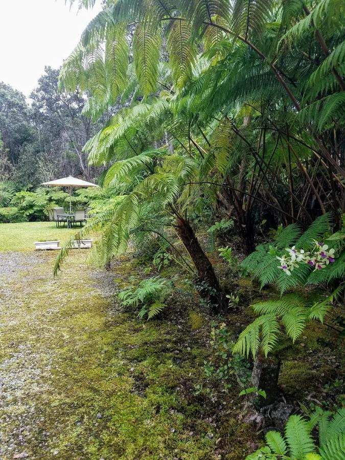 'Ama'u Lani Cottage Volcano Exteriör bild
